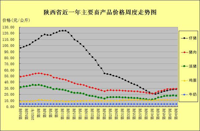 陕西最新猪价预测及分析